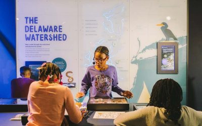 Guests looking at an exhibit for the Delaware Watershed at The Independence Seaport Museum